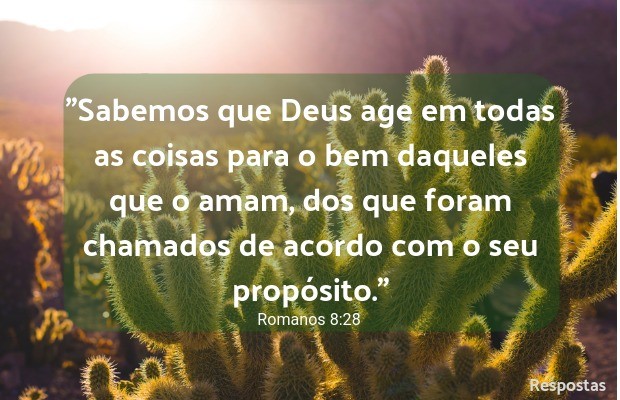 Tudo coopera?